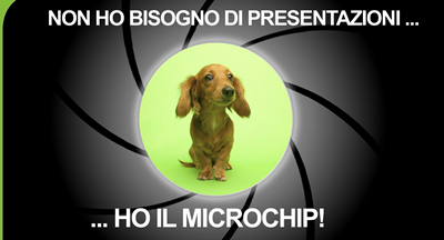 Microchip